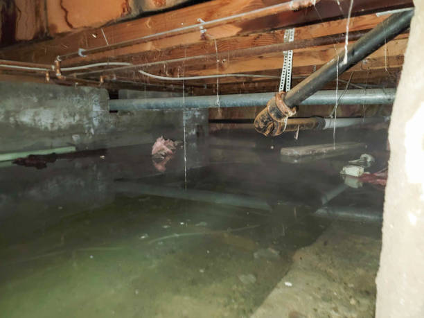 Best Water damage contractors near me  in Lafayette, OR