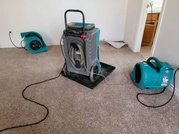 Water damage restoration mold remediation in OR