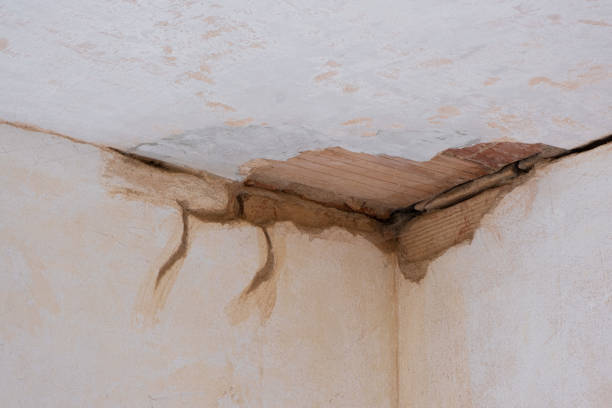 Best Emergency water damage restoration  in Lafayette, OR