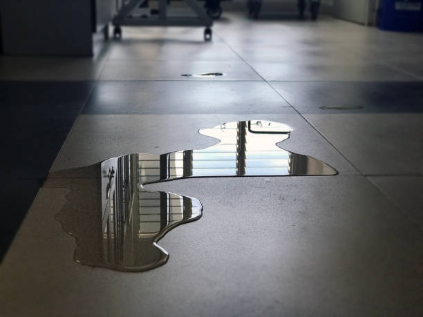  Lafayette, OR Water damage restoration Pros
